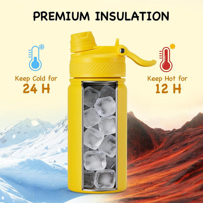 18 oz Insulated Water Bottle, 2-in-1 Straw and Spout Lid Stainless Steel Thermos, Leak-Proof, Double Wall Vacuum Flask, Keep Cold 24H for Outdoor, Sports, Travel, School (Black)