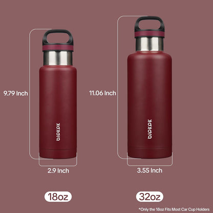 18oz Insulated Water Bottle Stainless Steel Water Bottle with Handle | BPA-Free Leak-Proof Bottle with Double Wall Vacuum Insulation, Reusable Water Bottle for Gym, Office, Travel & Everyday Use