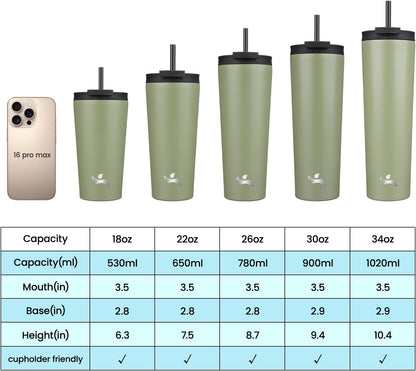 30 oz Insulated Tumbler Water Bottle with Straw Lid, Pastel Sunset