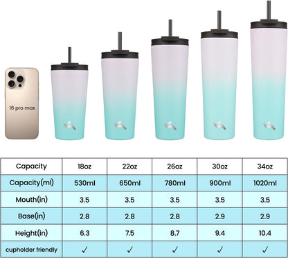 30 oz Insulated Tumbler Water Bottle with Straw Lid, Pastel Sunset