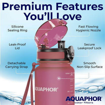 Filtered Water Bottle, Leakproof, BPA-Free, Motivational Markings, Travel, Everyday Use. 40-Gallon Filter, Replaces 300 Plastic Water Bottles. Includes 1 Filter, 22 FL Oz, Grey by Aquaphor