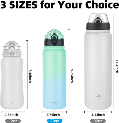 Insulated Water Bottle 20oz for Adults Kids Stainless Steel Water Bottles with Straw/Chug/Carabiner 3 Lids Fruit Strainer Double Wall Vacuum Wide Mouth BPA Free Leak-Proof for School Travel