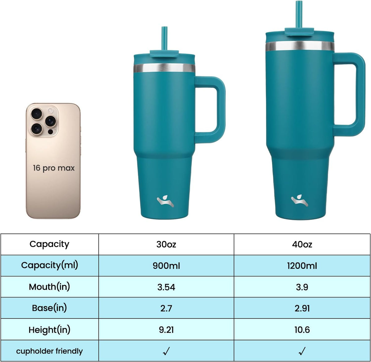 30 oz Insulated Tumbler Water Bottle with Handle, Straw Lid