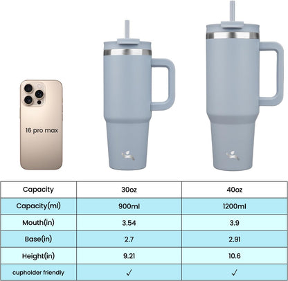 30 oz Insulated Tumbler Water Bottle with Handle, Straw Lid