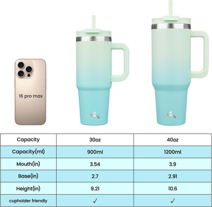 30 oz Insulated Tumbler Water Bottle with Handle, Straw Lid
