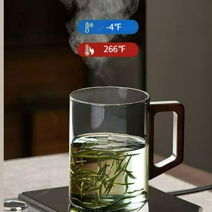 Glass Cup Set of 2 with Walnut Wood Handles, Straight-Sided Heat-Resistant Drinking Tumblers for Tea Coffee Home Office – 16 oz, Clear (clear)