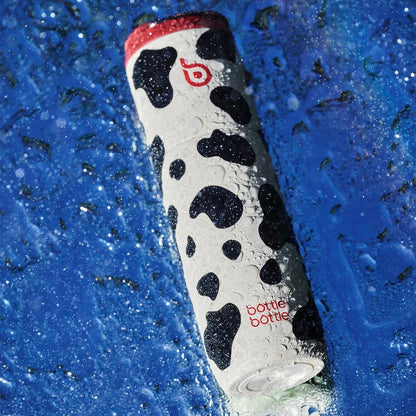 BOTTLE BOTTLE Insulated Water Bottle 24oz with Straw Lid and Handle Sports