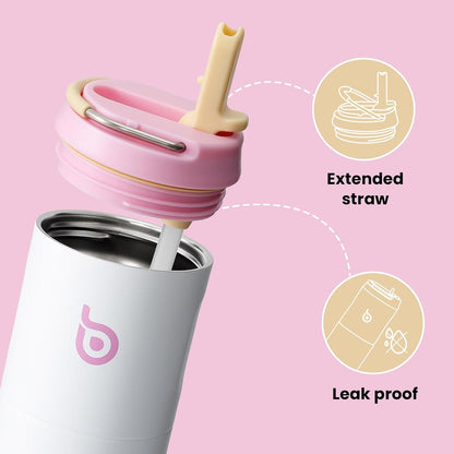 BOTTLE BOTTLE Insulated Water Bottle 24oz with Straw Lid and Handle Sports