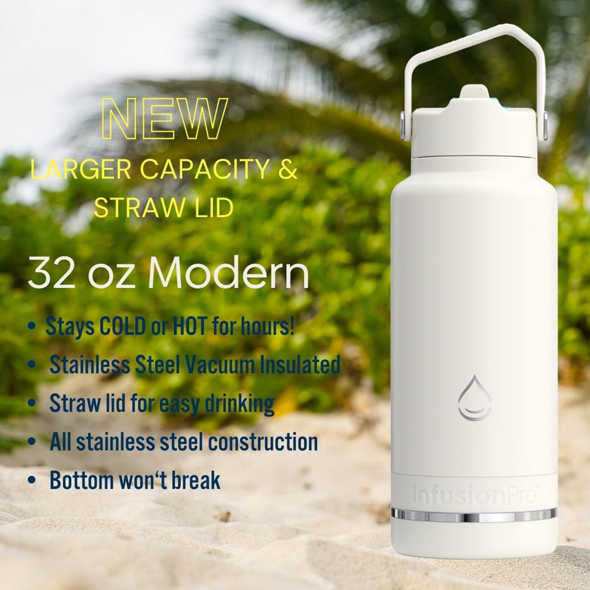 Fruit Infuser Water Bottle, 32 oz Stainless Steel