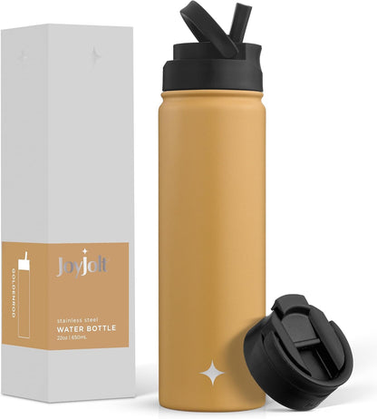 Triple Insulated Water Bottle with Straw Lid AND Flip Lid! 22oz Water Bottle, 12 Hour Hot/Cold Vacuum Insulated Stainless Steel Water Bottle. BPA-Free Leakproof Water Bottles - Thermos Bottle