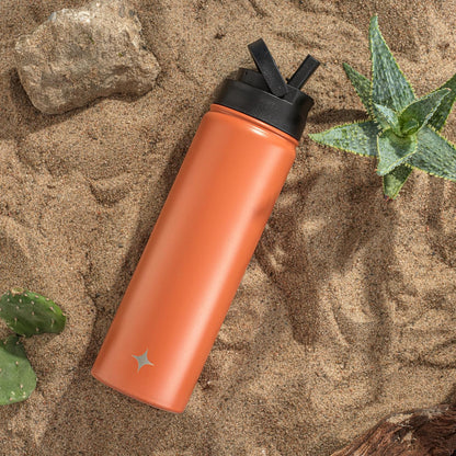 Triple Insulated Water Bottle with Straw Lid AND Flip Lid! 22oz Water Bottle, 12 Hour Hot/Cold Vacuum Insulated Stainless Steel Water Bottle. BPA-Free Leakproof Water Bottles - Thermos Bottle